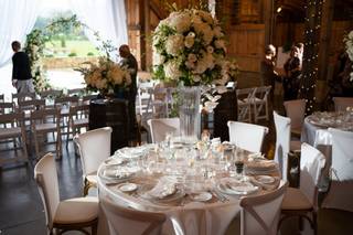 Golden Thistle Design - 58