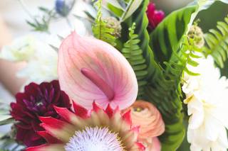 Earthbaby Flowers - 7