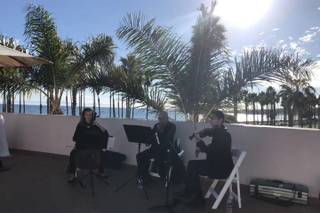 OMG Ocdamia Music Group - 33