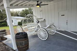 Ever After Farms Blueberry - 16