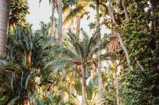 Sunken gardens - 40