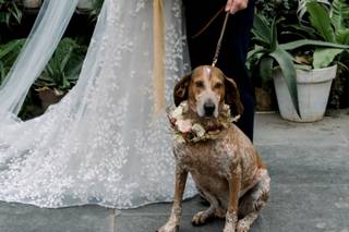 Nicole Colwell Photography - 33