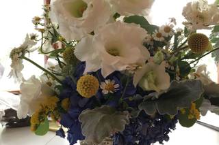 Polly's Petals & Particulars - 27