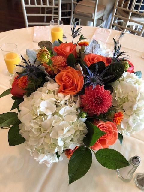 Seasonal Flowers - 2