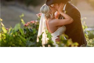Dana Todd Photography - 5
