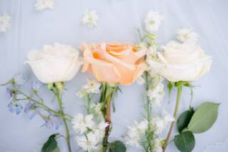 Melissa Kincaid Photography - 21