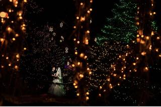 Peddler's Village - 75