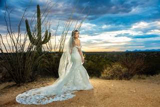 Saguaro Buttes - 14