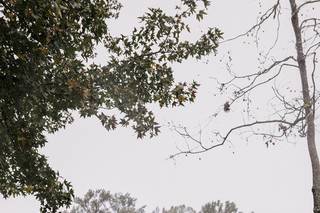 Mac Jones Photography - 19