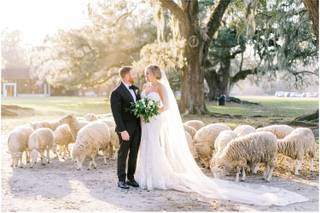 Just Sew Bridal Alterations - 14