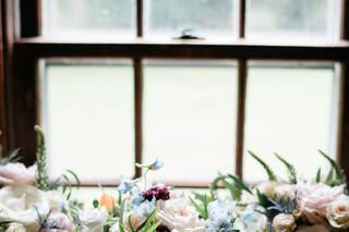 La Bella Rose - 43