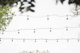 Tipsy Tulip Designs, LLC - 8