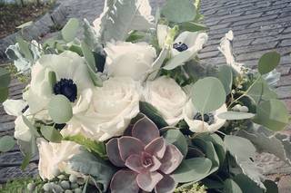 Cotton & Magnolia - 37