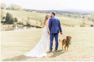 Stephanie Messick Photography - 14
