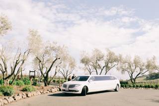 Sonoma Sterling Limousines, Inc. - 8