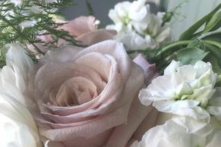 Fukushima Flowers - 92