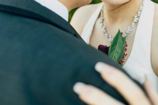 Exquisite Exposures Photography - 7