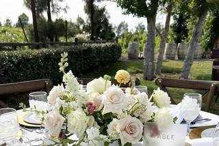 Lovely Peonies - 46