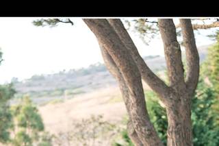 Cindy Diana Photography - 7