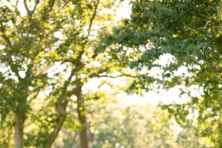 Michael John Photography - 22