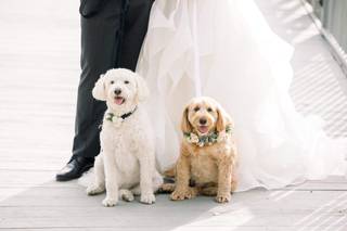 Midwestern Bride - 6