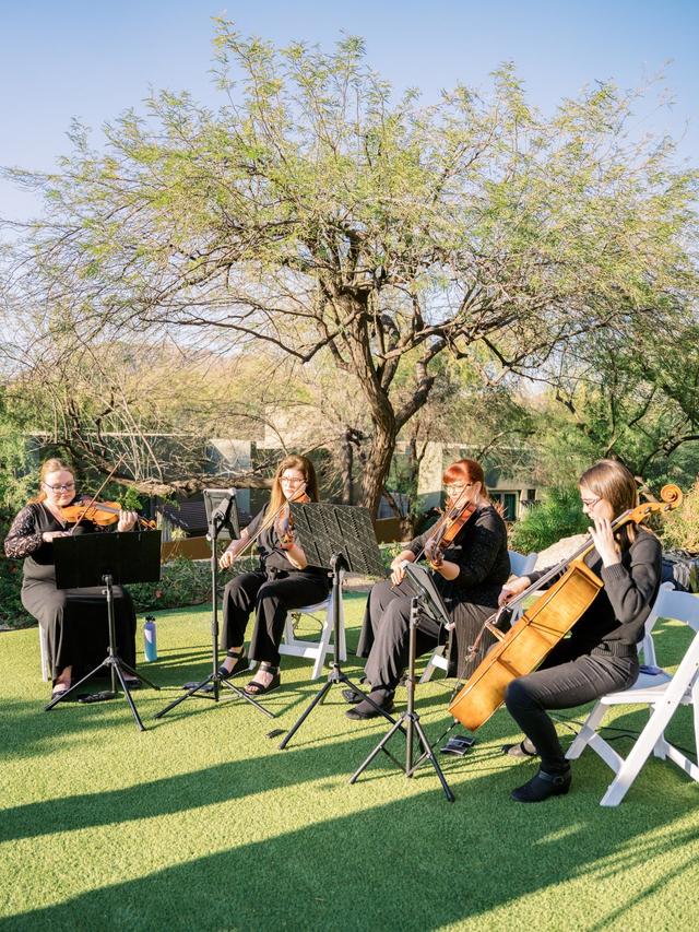 Sweetwater Strings - 2