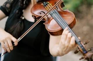 Ocean Violinist - 5