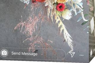 Enchantment Floral - 22