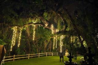 Green Gables Estate - 31