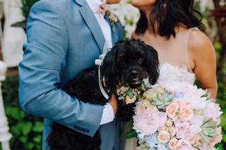 John Myers Photography & Videography - 65