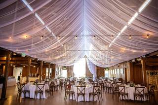 Wendee’s Occasions - 4