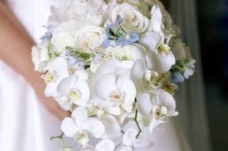 Kate Flowers LA - 41