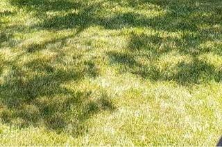 Berry & Bloom Floral - 14