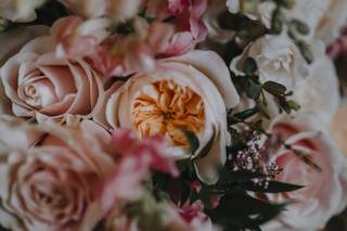 Maddie Blecha Photography - 11