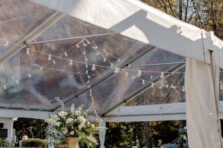 Wisteria Designs - 13