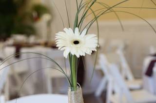 Kristin Coulter Designs - 14