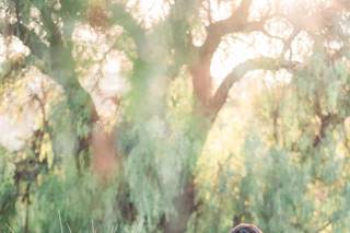 Chasing Chickadees Photography - 39