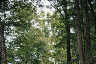 Gilbertsville Farmhouse - 85