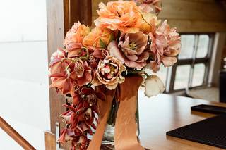 Terra Vida Events - 6