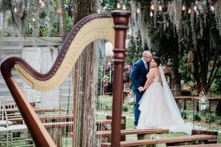 Photo Harp Weddings - 115