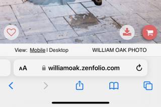 William Oak Studio - 1