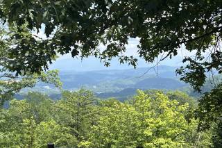 The Mustard Seed - 55