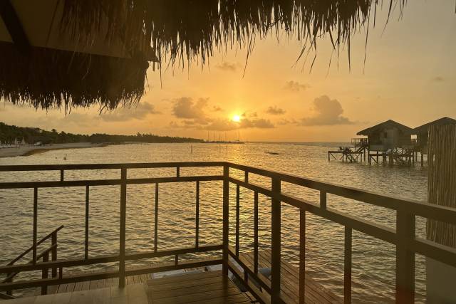 Honeymoons, Inc. 5