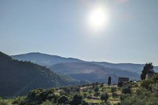 Castello del Trebbio - 92