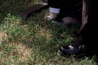 Adornment Photo - 67