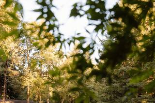Krysta Rownd Photography - 6