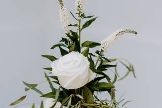 La Bella Rose - 40