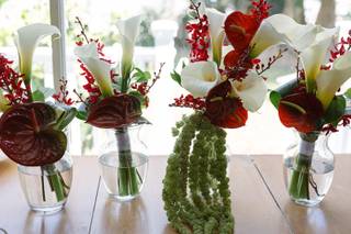 Sarandipity Floral - 11