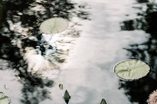 Erica Lynn Photography - 6