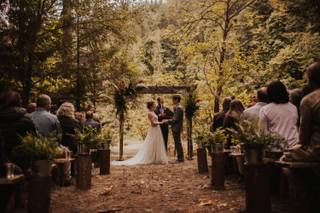 Black Swan Events - 42